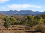 Flinders Ranges for grey nomads
