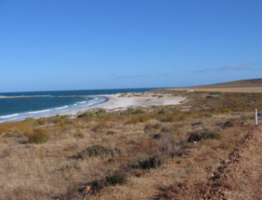 Lipson Cove is a scenic free camp on the Eyre Peninsula