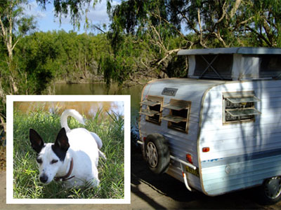 1080 bait warning for grey nomads