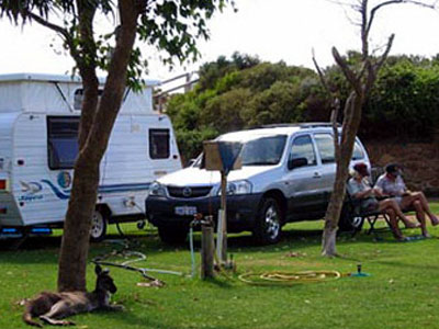Grey nomads lose their title as Australia's caravanning and motohoming kings