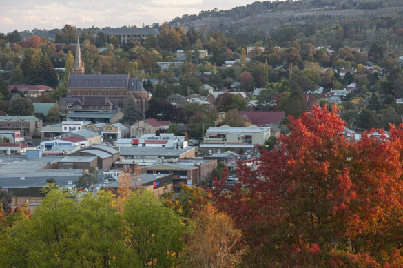 Armidale autumn colours