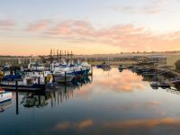port linco;n