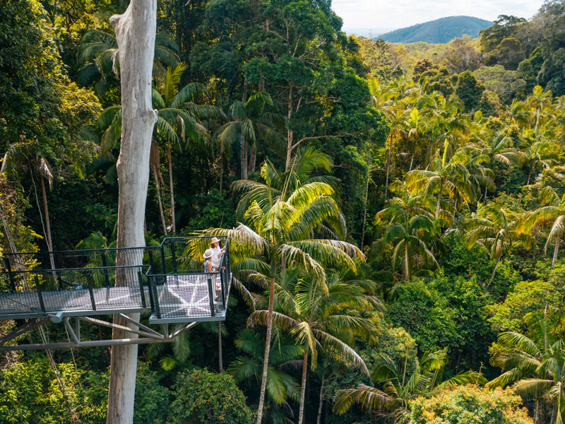 Tamborine Mountain The Grey Nomads Travel & Holiday Information