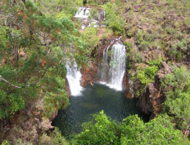 Bushfore in Litchfield National Park