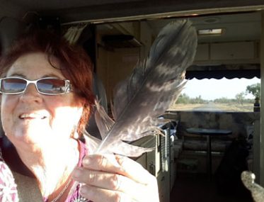 feather retrieval