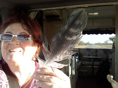 feather retrieval