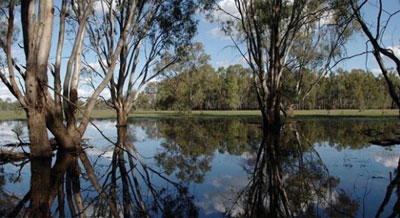 Barmah attracts grey nomads in caravans
