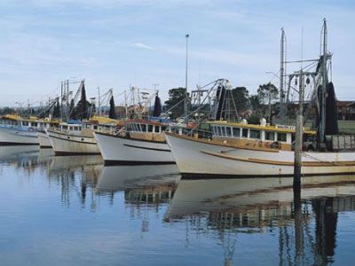 Ballina attracts grey nomads