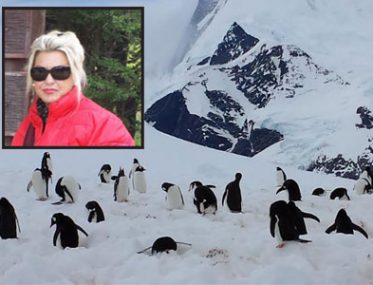 Antarctica for grey nomads