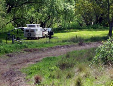 Free camping future beyond pandemic