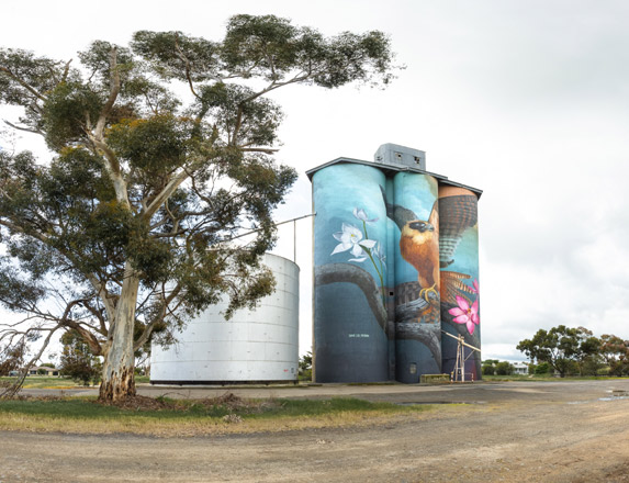 Kaniva, silo art