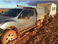 Grey nomads show resilience