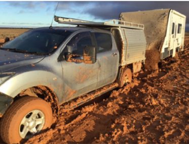 Grey nomads show resilience