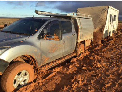 Grey nomads show resilience