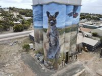 Stunning artwork features wildlife on Kingscote silos