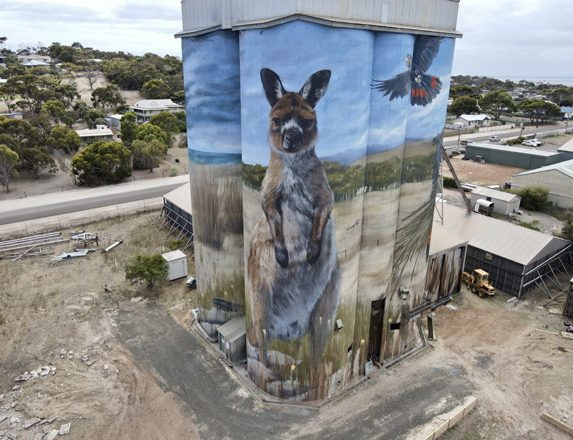Stunning artwork features wildlife on Kingscote silos
