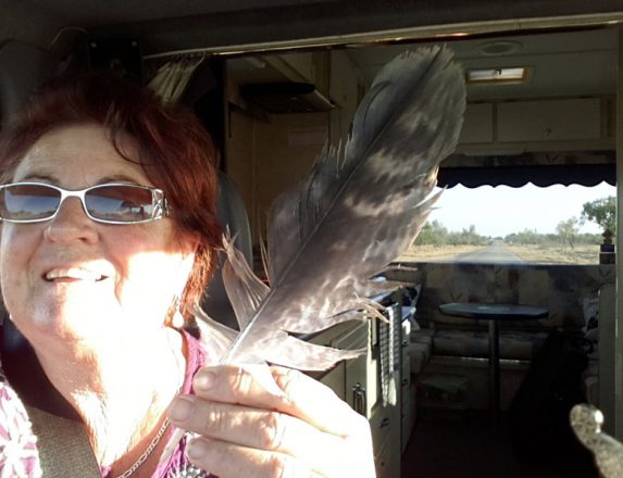 Feral pigs chase grey nomads