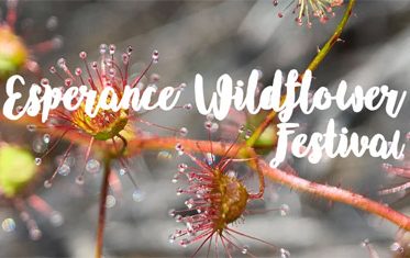 Esperance Wildflower Festival