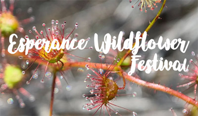 Esperance Wildflower Festival