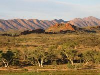 Macdonnell ranges