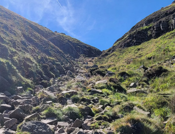 bushwalking