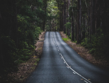 Alligator Creek