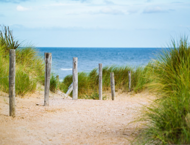 Beachside caravan park