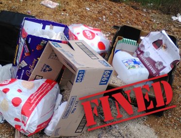 Overflowing roadside bins