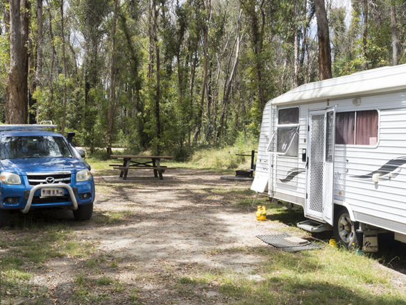 Native dog campground