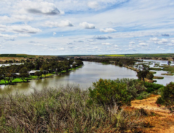 Murray River