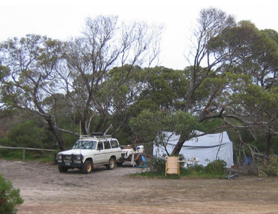 national park online booking