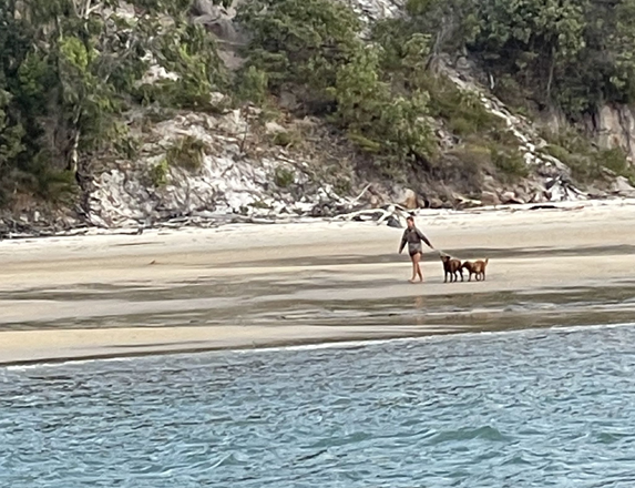 Dogs on Fraser Island