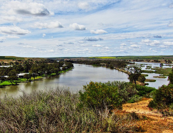 Murray River