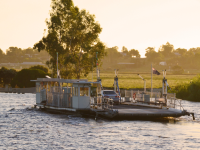 Murray ferry at Tailem Bend