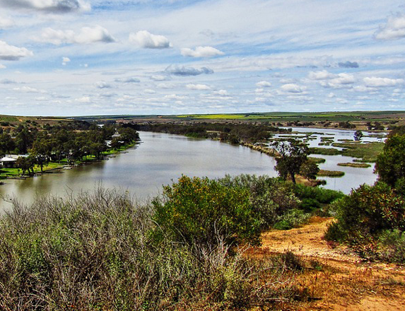 Murray River