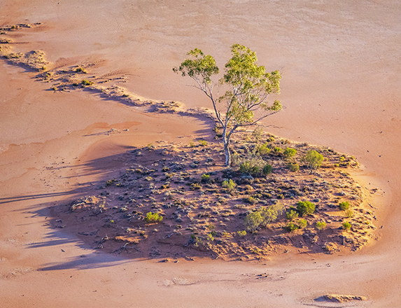 The new Brindingabba National Park