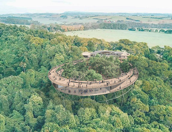 Dorrigo rainforest centre