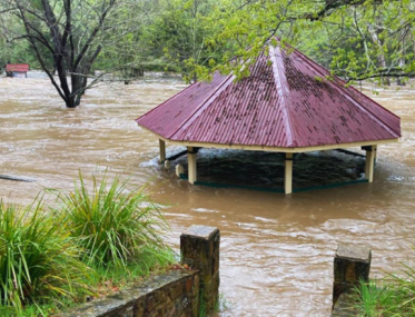 Vaughan Mineral Springs Reserve