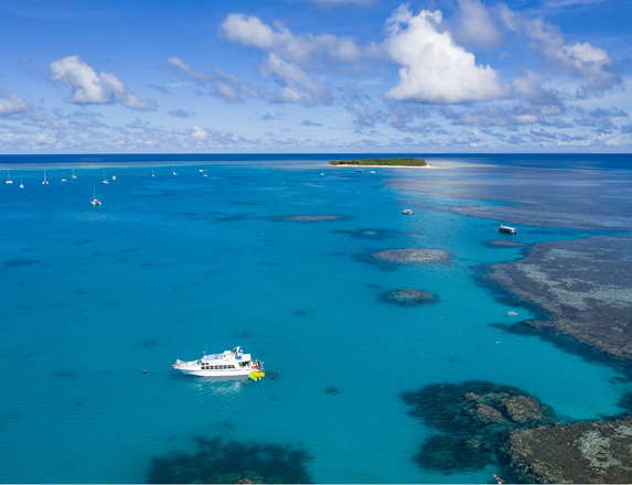 Lady Musgrave Island