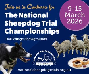 National Sheep Dog Trials